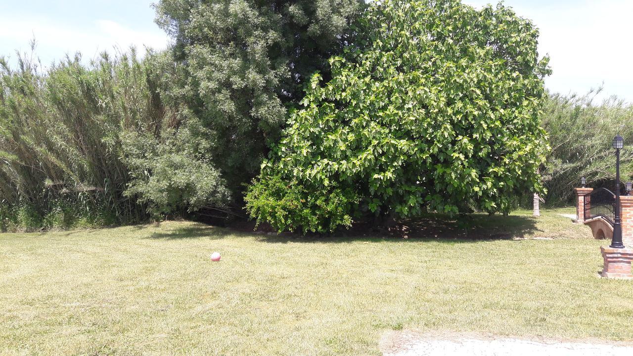 Appartamento Quinta Da Abrunheira Vimieiro  Esterno foto